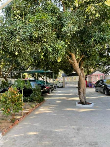 Mango Villa Long Hai Beach מראה חיצוני תמונה