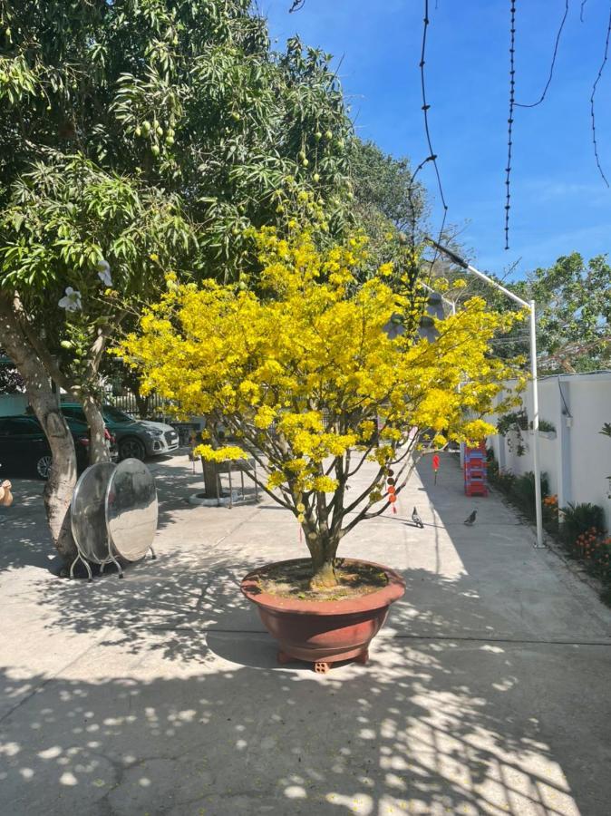 Mango Villa Long Hai Beach מראה חיצוני תמונה