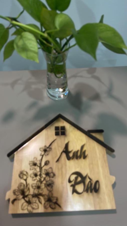 Mango Villa Long Hai Beach מראה חיצוני תמונה